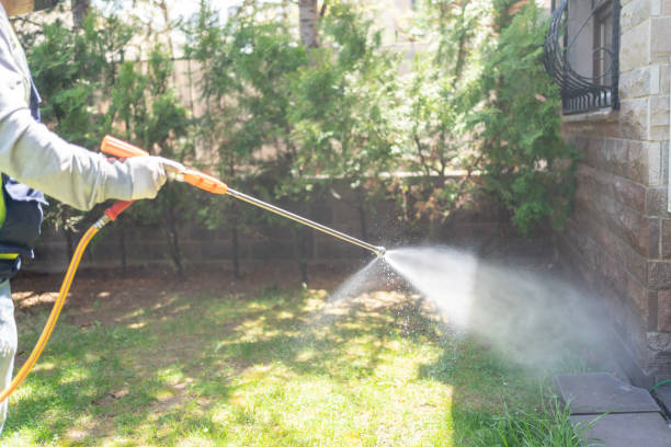 Best Pest Prevention Services  in Monticello, IN